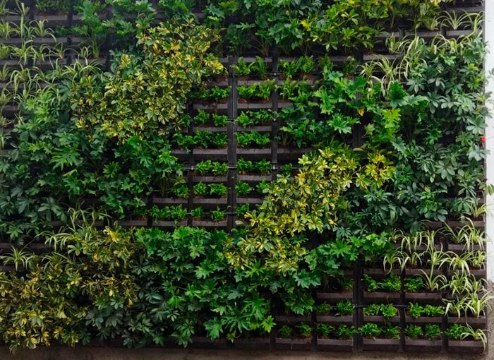 jardines-verticales-tqv---003