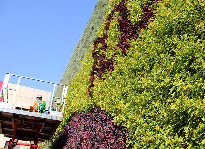 jardines-verticales-tqv---007