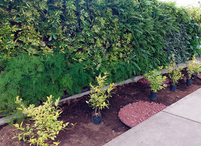 jardines-verticales-tqv---008